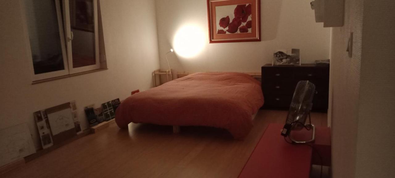 Appartamento LOFT TERRASSE marché de NOEL STRASBOURG 2 à 6 couchages G Friendly Esterno foto
